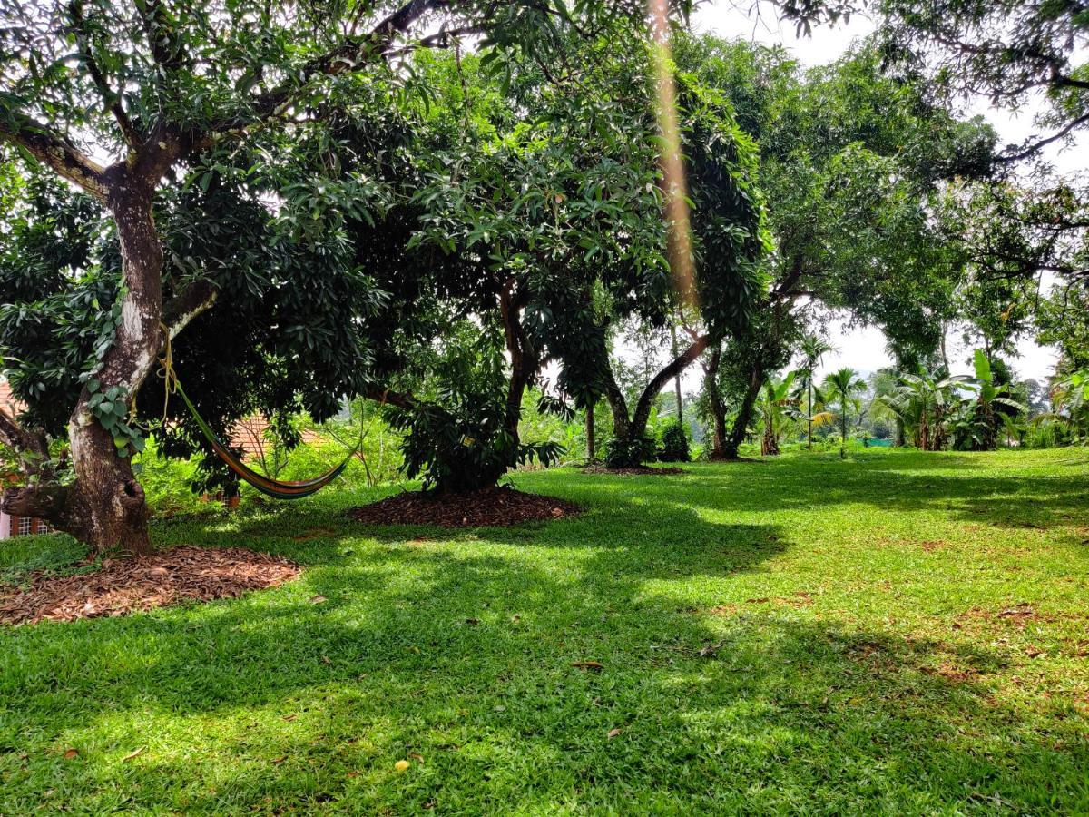 Carmel Tourism Village Kotamangalam Kültér fotó