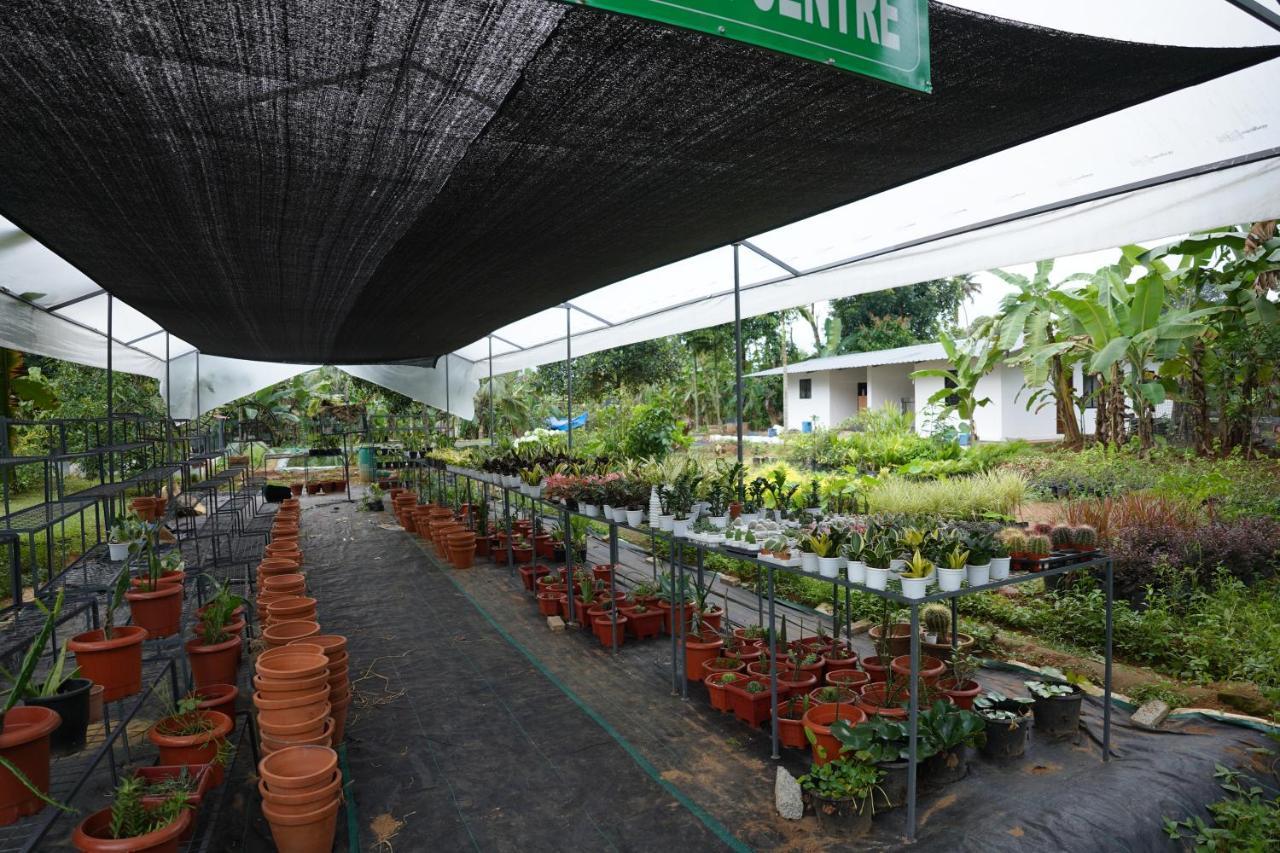 Carmel Tourism Village Kotamangalam Kültér fotó